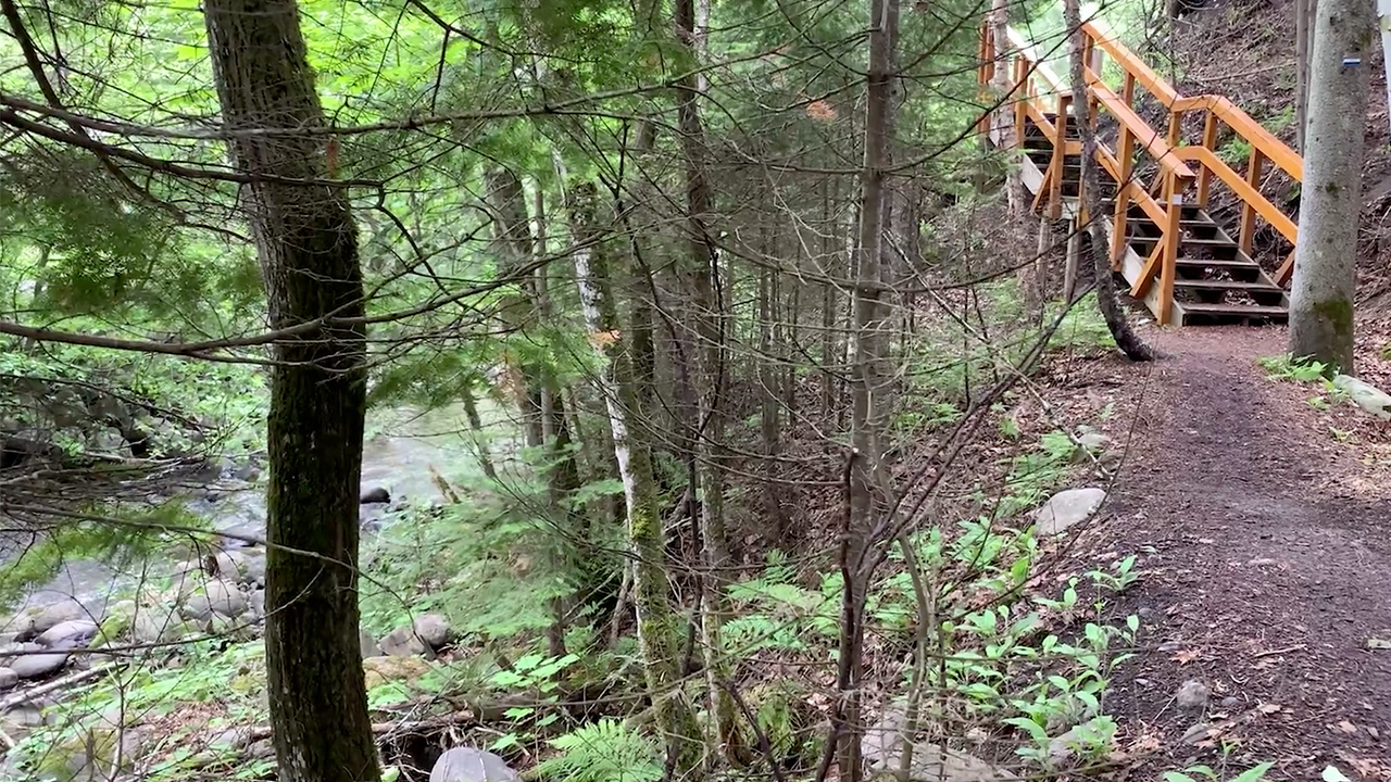 Explorer ce sentier caché à SaintJosephdelaRive dans Charlevoix Guide vacances