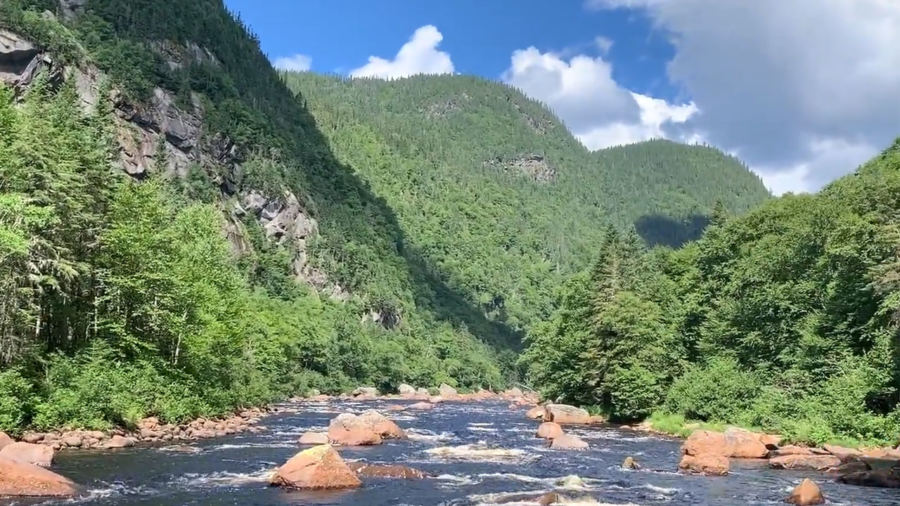 4080 Chemin De La Plage Jacques Cartier